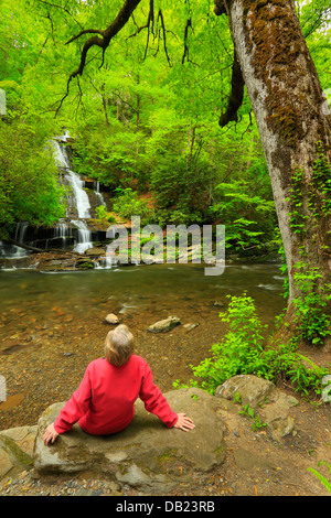 Toms Zweig fällt, Deep Creek, Great Smoky Mountains National Park, North Carolina, USA Stockfoto