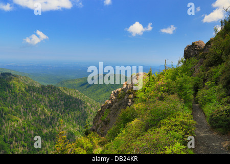 Charlies Ballen, große Smoky Mountains National Park, North Carolina, Tennessee, USA Stockfoto