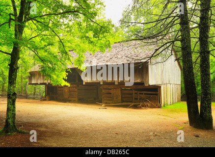 Laquire Freischwinger Scheune, Kabel Fräsen Bereich, Cades Cove, tolle Smoky Mountains National Park, Tennessee, USA Stockfoto