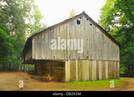 Laquire Freischwinger Scheune, Kabel Fräsen Bereich, Cades Cove, tolle Smoky Mountains National Park, Tennessee, USA Stockfoto