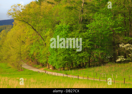 Hyatt Lane, Cades Cove, tolle Smoky Mountains National Park, Tennessee, USA Stockfoto