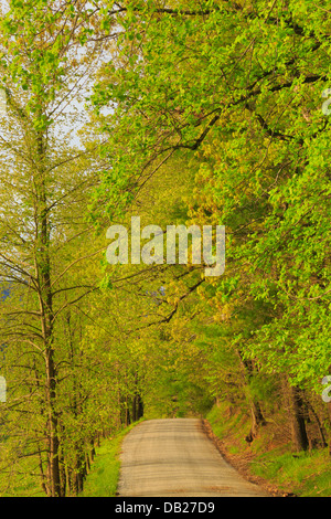 Hyatt Lane, Cades Cove, tolle Smoky Mountains National Park, Tennessee, USA Stockfoto