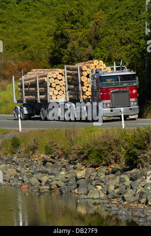 Logging Truck mit Export-Protokolle in der Nähe von Port Chalmers, Dunedin, Otago, Südinsel, Neuseeland Stockfoto