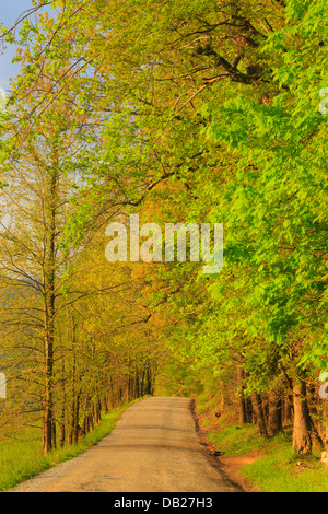 Hyatt Lane, Cades Cove, tolle Smoky Mountains National Park, Tennessee, USA Stockfoto