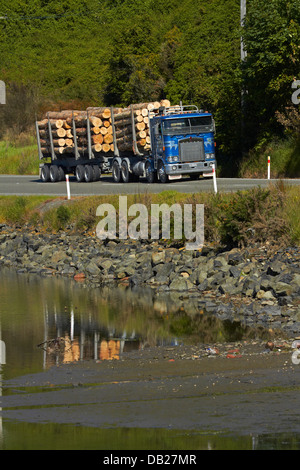 Logging Truck mit Export-Protokolle in der Nähe von Port Chalmers, Dunedin, Otago, Südinsel, Neuseeland Stockfoto