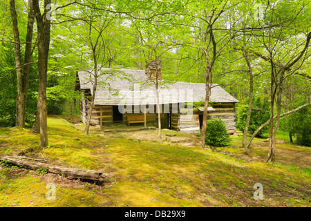 Rauchigen Bergwandern Club-Kabine, Träger Creek Trail, Greenbrier Bereich, Great Smoky Mountains National Park, Tennessee, USA Stockfoto