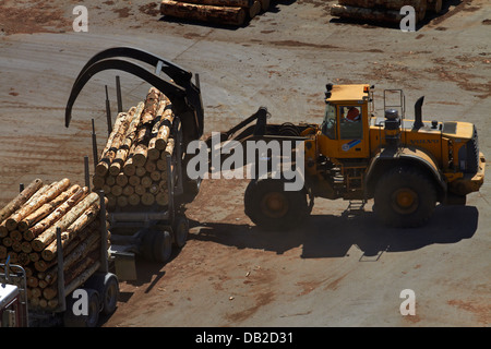 Melden Sie sich entladen Holztransporter Lader bei Port Chalmers, Dunedin, Otago, Südinsel, Neuseeland Stockfoto