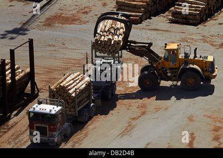 Melden Sie sich entladen Holztransporter Lader bei Port Chalmers, Dunedin, Otago, Südinsel, Neuseeland Stockfoto