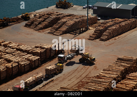 Melden Sie sich entladen Holztransporter Lader bei Port Chalmers, Dunedin, Otago, Südinsel, Neuseeland Stockfoto