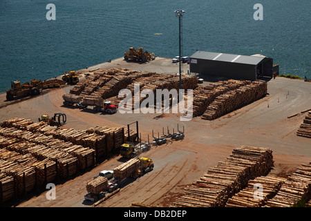 Anmeldung LKW liefern Export-Protokolle, Port Chalmers, Dunedin, Otago, Südinsel, Neuseeland Stockfoto