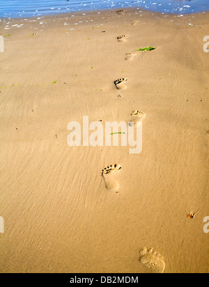 Fußspuren im Sand Strand Holkham Norfolk England Stockfoto