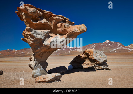 berühmte Arbol de Piedra Rock wie Stein Baum, Reserva Nacional de Fauna Andina Eduardo Abaroa, Bolivien, Südamerika Stockfoto