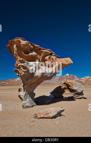 berühmte Arbol de Piedra Rock wie Stein Baum, Reserva Nacional de Fauna Andina Eduardo Abaroa, Bolivien, Südamerika Stockfoto