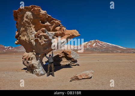 berühmte Arbol de Piedra Rock wie Stein Baum, Reserva Nacional de Fauna Andina Eduardo Abaroa, Bolivien, Südamerika Stockfoto