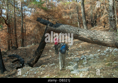 Asien, Ägypten, Provinz Antalya, der Lykische Weg (Likya Yolu) von Adrasan Nach Olympos Stockfoto