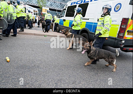 EDL protestieren Birmingham 20. Juli 2013 Polizei Hunde verwendet wird Stockfoto