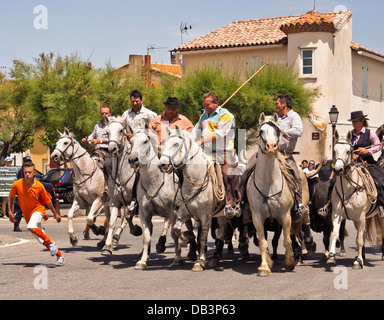 Stiere in Saintes Maries-de-la-Mer, Frankreich Stockfoto