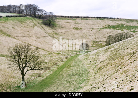 Die trockene Kreide Tal der Thixen Dale in der East Riding von Yorkshire Wolds, UK. Die Yorkshire Wolds Weg verläuft entlang der Unterseite. Stockfoto