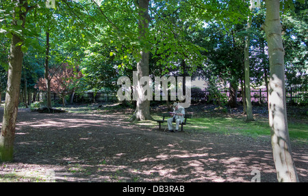 Älterer Mann Lesung am Wald Sitzbank Stockfoto