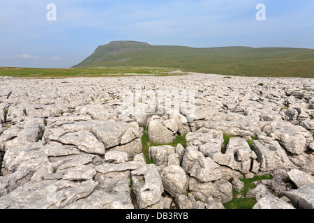 Ingleborough aus weißen Narbe Kalkstein Pflaster, North Yorkshire, Yorkshire Dales National Park, England, UK. Stockfoto