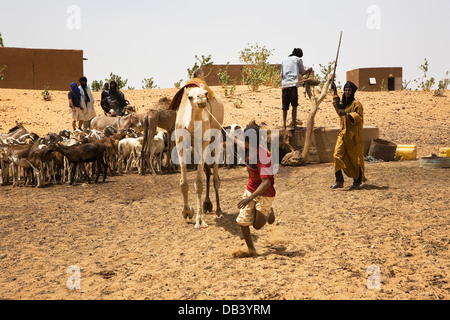 Tuareg-Hirten und junge im Dorf, die Verbindung mit einem Kamel, um ziehen Wasser aus einem Brunnen für die Tiere zu helfen, zu trinken, NE Mali Stockfoto
