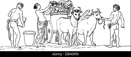 Landwirtschaft, Bauernarbeit, Ernte, Römischer Erntewagen, nach Relief an der Therme von Titus, Rom, Zeichnung, 19. Jahrhundert, Grafik, Grafik, antike Welt, Antike Zeiten, Römisches Reich, Werke, Arbeiten, Arbeiten, Arbeiten, Arbeiten, Arbeiten, Ochsen, Spannweite von Ochsen, Team von Ochsen, ziehen, ziehen, zeichnen, ziehen, Karren, Karren, Erntewagen, Transport, Transport, Landwirtschaft, Landwirtschaft, landwirtschaftliche Arbeit, Landarbeit, Landarbeit, Ernte, Ernten, Thermalquelle, Thermalquelle, Thermalquellen, Thermalquellen, historische, historische, Menschen, alte Welt, zusätzliche-Rechte-Clearences-nicht verfügbar Stockfoto