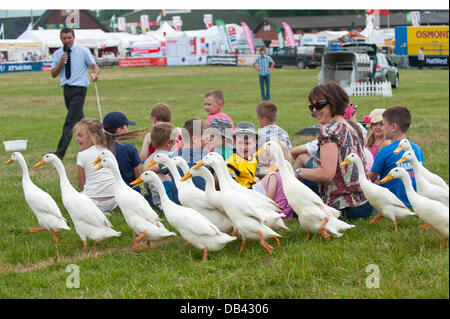 Llanelwedd (Nr. Builth Wells), Wales, Vereinigtes Königreich. 23. Juli 2013. Kinder genießen Meirion Owen und der Quack Pack, Schäferhund und Enten. Mit Temperaturen, die voraussichtlich hoch bleiben verleihen dieser Woche St John Wales eine heiße Wetter-Warnung als Menschen Herde der jährlichen Royal Welsh Agricultural Show - die größte Landwirtschaftsausstellung in Europa. Der Prinz von Wales, ein ehemaliger Präsident der Royal Welsh Agricultural Society RWAS und der Herzogin von Cornwall wird die Show am dritten Tag 24. Juli zu besuchen. Bildnachweis: Graham M. Lawrence/Alamy Live-Nachrichten. Stockfoto