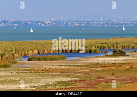 Schilfgürtel Landschaft im Nationalpark (Neusiedler See / Seewinkel), Austro-ungarischen Grenze Stockfoto