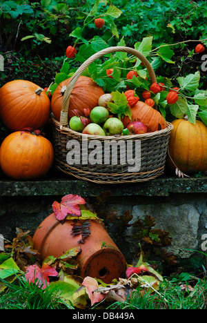 Ein Korb voller Früchte und Gemüse im Herbst Stockfoto
