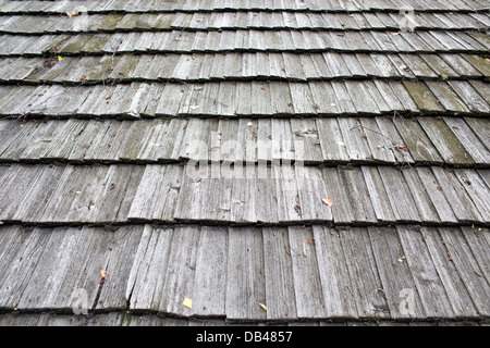 Sechzehnten Jahrhundert schmieden Wasser in Gdansk Oliwa. Architektur und Detail. Stockfoto