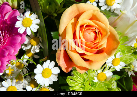 Eine Mischung aus Blumen Stockfoto