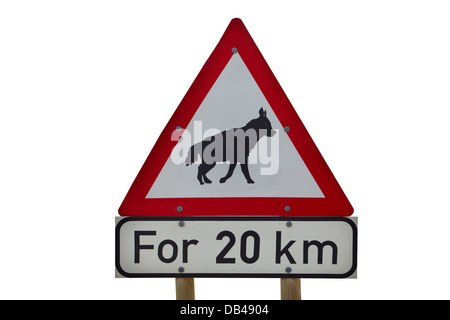 Braune Hyäne Straße Warnung, Südliches Namibia, Afrika Stockfoto