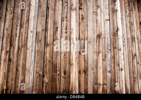 Sechzehnten Jahrhundert schmieden Wasser in Gdansk Oliwa. Architektur und Detail. Stockfoto