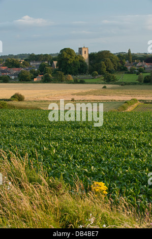 Ländliche Blick über Kulturen auf landwirtschaftlichen Flächen, (Felder für den Anbau von Kulturpflanzen verwendet) in der Kleinen malerischen Dorf Spofforth - North Yorkshire, England, UK. Stockfoto