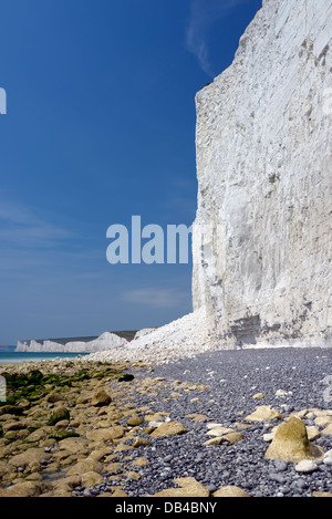 Eine jüngste Zusammenbruch von den Kreidefelsen bei Birling Gap, East Sussex Stockfoto