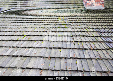 Sechzehnten Jahrhundert schmieden Wasser in Gdansk Oliwa. Architektur und Detail. Stockfoto