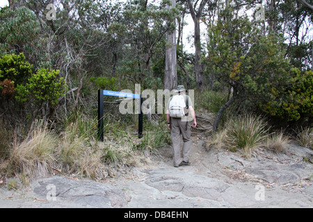 Wandern auf Bruny Island in Tasmanien auf dem geriffelten Cape Schaltung Weg Stockfoto