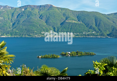 Brissago Inseln im See Lago Maggiore in der Nähe von Ronco Sopra Ascona, Tessin, Schweiz Stockfoto
