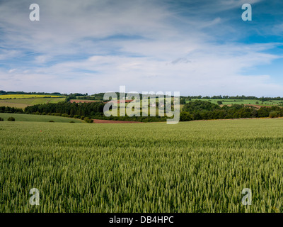 Blick über grüne Felder in Richtung Dorf Logborough, von Flagstone Hof, Stow auf die würde, die Cotswolds. Stockfoto