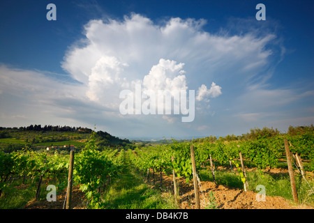 Stürmischen Wolken über Weinberg in der Nähe von San Gimignano, Italien Stockfoto