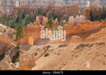 Geschnitzte Portal auf der Peekaboo Loop Trail in Bryce Canyon National Park in Utah. Stockfoto