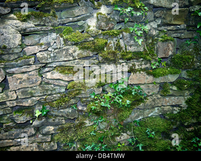 Steinmauer in der North Yorkshire Markt Stadt Skipton Stockfoto