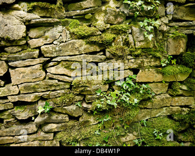 Steinmauer in der North Yorkshire Markt Stadt Skipton Stockfoto