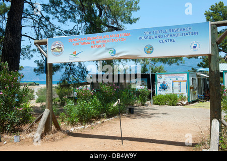 Ägypten, Provinz Mugla, Dalyan, Schildkröten-Krankenhaus am Iztuzu-Strand Bei der Ortschaft Gökbel Stockfoto