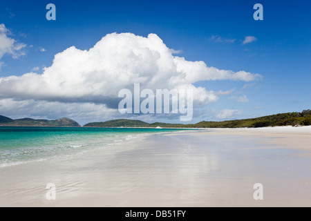 Blick entlang Whitehaven Beach auf Whitsunday Island. Whitsundays Islands National Park, Whitsundays, Queensland, Australien Stockfoto