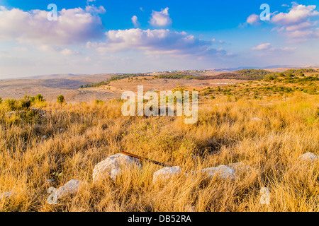Neot Kedumim ist die biblische Landschaft Reserve in Israel einem biblischen Garten und Natur-Reservat befindet sich in der Nähe von Modi'in Stockfoto