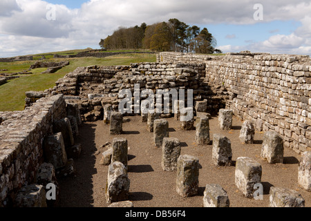 Die Reste der Getreidespeicher am Vercovicium, jetzt bekannt als römisches Kastell Housesteads am Hadrianswall, Northumberland, Großbritannien. Stockfoto