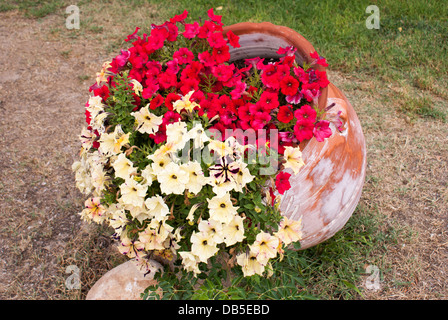 Schöne Blumen im antiken griechischen vase Stockfoto