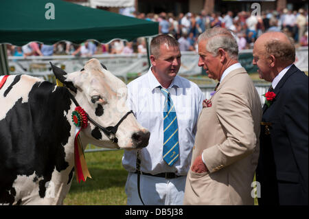 Llanelwedd, Powys, UK. 24. Juli 2013. Der Prinz im Gespräch mit einem Züchter in der Vieh-Ring.  Der Prinz von Wales, ehemaliger Präsident der Royal Welsh Agricultural Society (RWAS) und der Herzogin von Cornwall besuchen die Royal Welsh Show in Mid Wales. Es ist Prinz Charles siebten Besuch in Llanelwedd, wo die größte Landwirtschaftsausstellung in Europa stattfindet, aber für die Herzogin es ist ihr erstes. Photo Credit: Graham M. Lawrence/Alamy Live-Nachrichten. Stockfoto