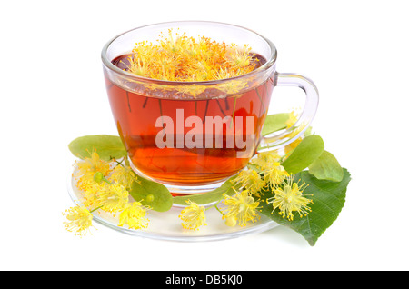 Zwei Tassen mit Kräuter Tee und Linden Blumen auf weißem Hintergrund Stockfoto